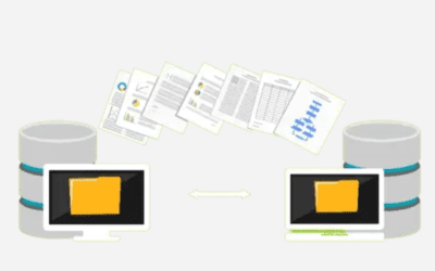 Distribution of data for the Manufacturing Industry